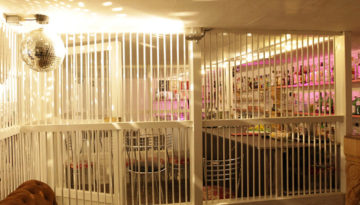 unusual bar worlds quirky Bar Hellesdon Manor House